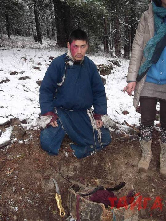 “Тайга” аймшгийн кино юу?